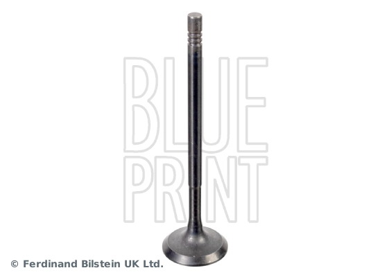 Intake Valve